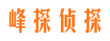 阳江市婚外情调查